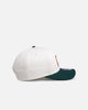 New Era Seattle SuperSonics 'Chrome White' 19TWENTY Snapback White/Green