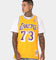 Mitchell & Ness Los Angeles Lakers Dennis Rodman #73 '98 -'99 Home Jersey Gold