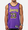Nike Los Angeles Lakers Lebron James Dri-FIT Swingman Jersey Field Purple