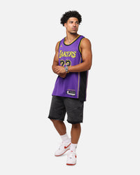 Nike Los Angeles Lakers Lebron James Dri-FIT Swingman Jersey Field Purple