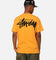 Stussy Big Stock T-Shirt Orange