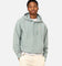 Champion Reverse Weave Terry Hoodie Sage Shimmer Green