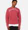 Tommy Jeans Relaxed Grunge Arch Crewneck Rouge
