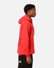 Stüssy Dragon Hoodie Pigment Red