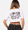 Stussy Women's Dice Cropped T-Shirt White
