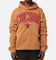 New Era Chicago Bulls Pullover Hoodie Medium Beige