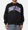 Tommy Jeans TJM Boxy Pop Varisty Crewneck Black