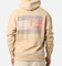 Tommy Jeans TJM Relax Washed DNA Hoodie Gentle Gold