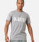 Saint Morta Gothic T-Shirt Grey Marle