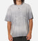 Willie Nelson Bike T-Shirt Washed Grey