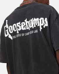 American Thrift X Goosebumps Cold Lake Heavy T-Shirt Vintage Black