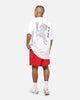 Ed Hardy Tiger Stamp T-Shirt White