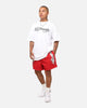 Ed Hardy Tiger Stamp T-Shirt White