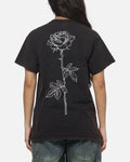 Women's