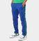 Adidas Adicolor Striped Trackpants Collegiate Royal
