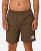 Stussy Designs Dice Beach Shorts Dusty Green