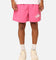 Stussy Big Stock Water Shorts Pink
