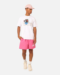 Stussy Big Stock Water Shorts Pink