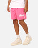 Stussy Big Stock Water Shorts Pink