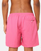 Stussy Big Stock Water Shorts Pink