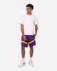 Nike Los Angeles Lakers Dri-FIT Practice Icon+ Shorts Field Purple