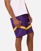 Nike Los Angeles Lakers Dri-FIT Practice Icon+ Shorts Field Purple