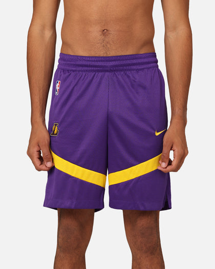 Nike Los Angeles Lakers Dri-FIT Practice Icon+ Shorts Field Purple