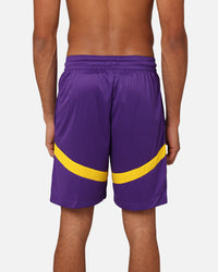 Nike Los Angeles Lakers Dri-FIT Practice Icon+ Shorts Field Purple