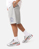 Nike Sportswear Club Essential French Terry Shorts Dark Grey Heather