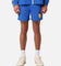 Adidas Graphic Sprinter Shorts Blue