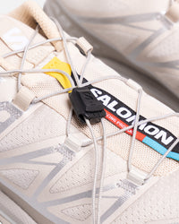Salomon XT-6 White/Silver