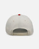 New Era Detroit Lions 'Strawberry' 9FORTY A-Frame Snapback Chrome/Red