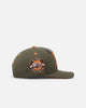 Mitchell & Ness Charlotte Hornets 'Harmony of Hues' Pro Crown Snapback Olive/Orange