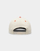 New Era Houston Astros '2010's World Series Through The Decades' 2017 World Series Golfer Snapback Chrome White