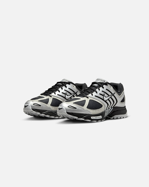 Nike Air Pegasus 2005 Metallic Silver