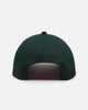 New Era Chicago Bulls 'Rhubarb Cord' 9FORTY A-Frame Snapback Dark Green