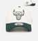 New Era Chicago Bulls 'Chrome Dark Green' 9FORTY A-Frame Snapback Chrome/Dark Green