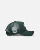 New Era Chicago Bulls 'Polychromatic Mesh' 9FORTY A-Frame Snapback Dark Green