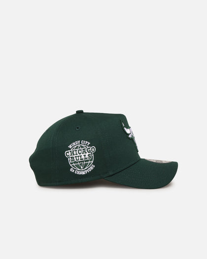 New Era Chicago Bulls 'Chicago Bulls Polychromatic' 9FORTY A-Frame Snapback Dark Green