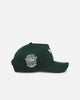 New Era Chicago Bulls 'Chicago Bulls Polychromatic' 9FORTY A-Frame Snapback Dark Green