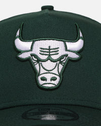 New Era Chicago Bulls 'Chicago Bulls Polychromatic' 9FORTY A-Frame Snapback Dark Green