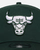 New Era Chicago Bulls 'Chicago Bulls Polychromatic' 9FORTY A-Frame Snapback Dark Green