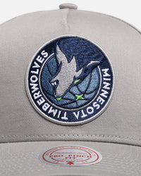 Mitchell & Ness Minnesota Timberwolves 'Upside Down Logo' Pro Pinch Snapback Grey