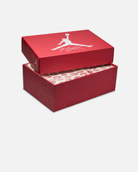 Jordan Women's Air Jordan 4 Retro "Pale Ivory and Tough Red" Pale Ivory