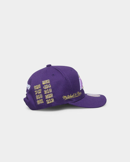 Mitchell & Ness Los Angeles Lakers 'City Love' Pro Crown Snapback Original Team Colours