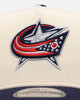 New Era Columbus Blue Jackets 'Team Color Visor' 9FORTY A-Frame Snapback Chrome/Official Team Color