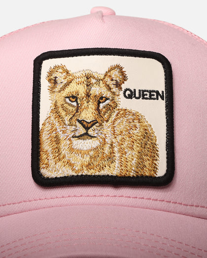 Goorin Bros The Queen Lioness Snapback Pink