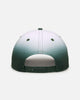 New Era Philadelphia Eagles 'Sundyed Flames' 9FORTY A-Frame Snapback Pine Green