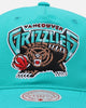 Mitchell & Ness Vancouver Grizzlies Retro Matte Nylon Origins Snapback Teal