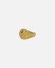NXS Gladiator Ring Gold